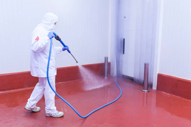 Best Building Exterior Washing  in Forest Hills, MI
