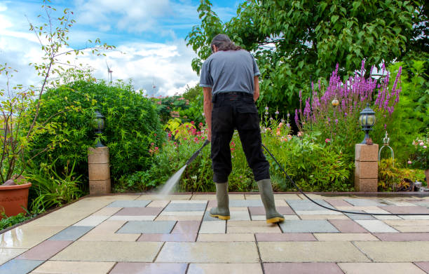 Best Patio and Deck Pressure Washing  in Forest Hills, MI