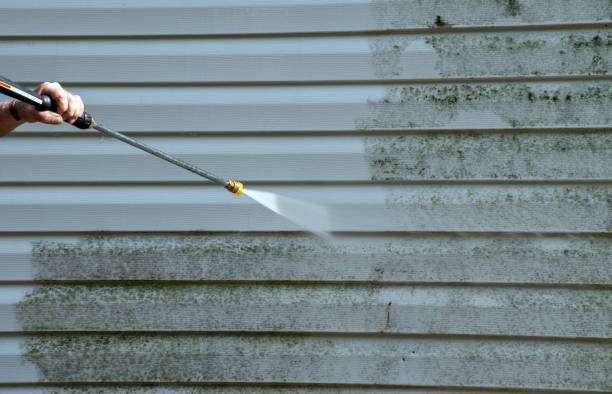 Best Building Exterior Washing  in Forest Hills, MI