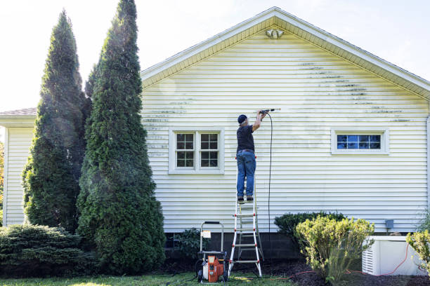 Best Rust Removal  in Forest Hills, MI